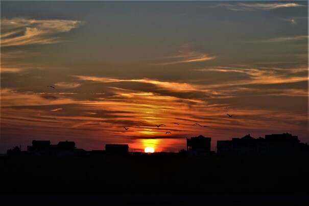 delaware seashore state park events