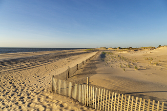 places to eat near delaware seashore state park