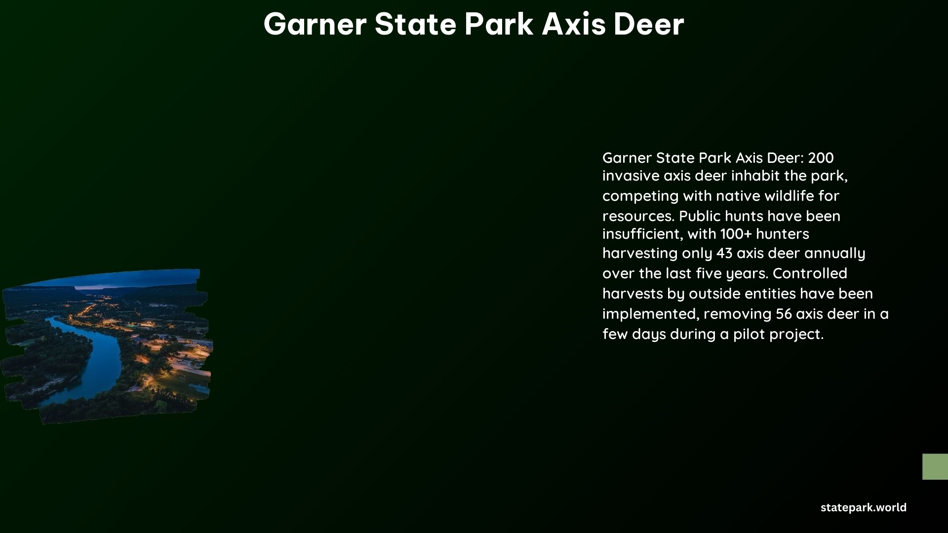 Garner State Park Axis Deer