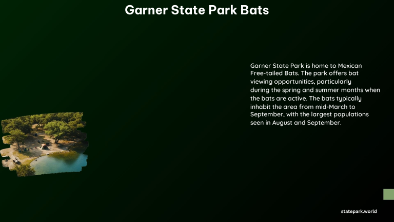 Garner State Park Bats