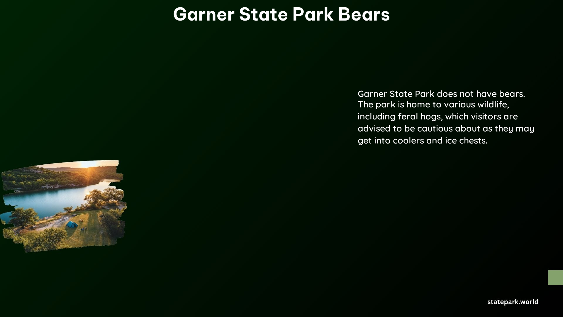 Garner State Park Bears