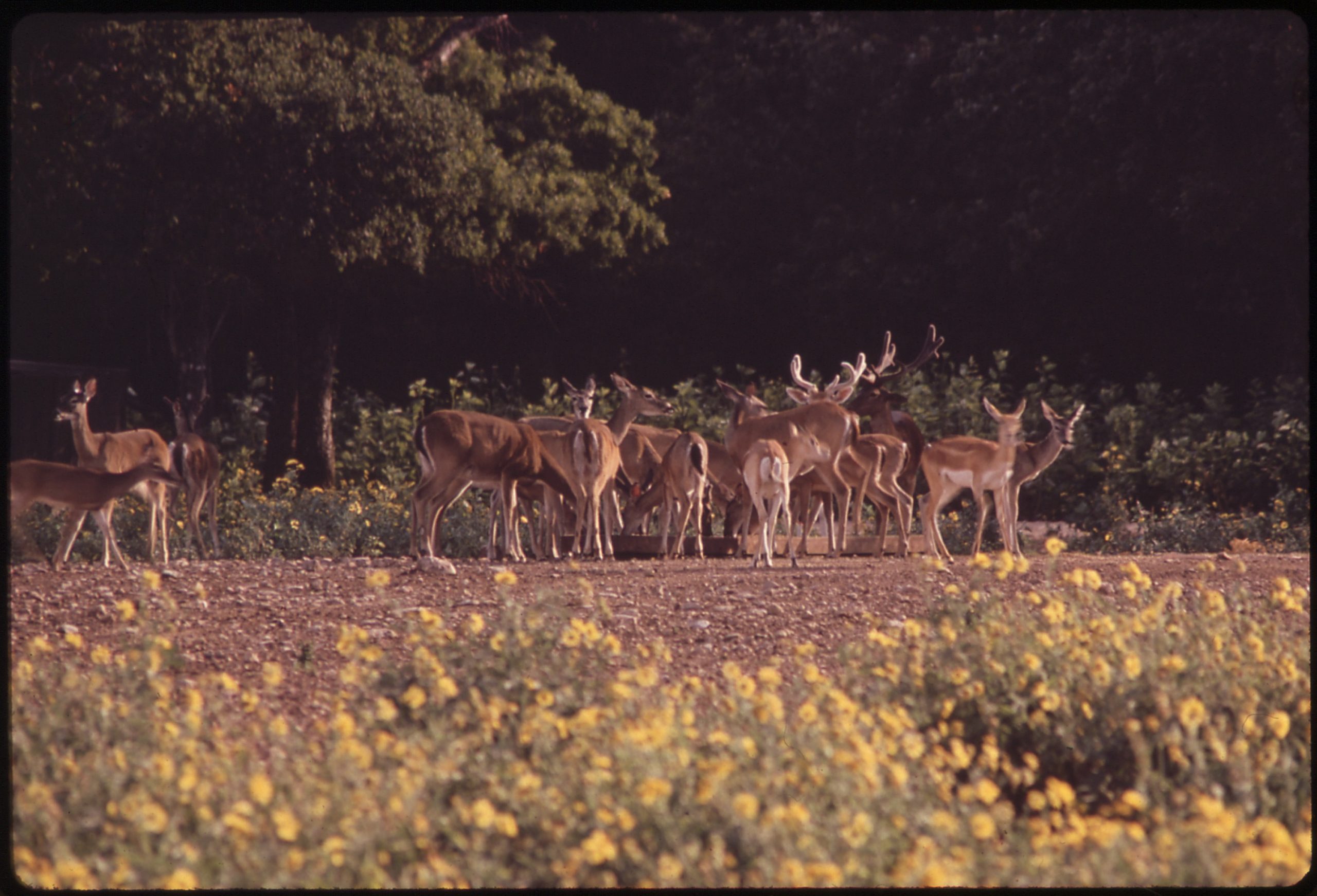 Garner State Park Bike Trails