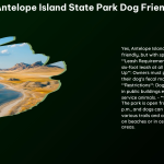 Is Antelope Island State Park Dog Friendly