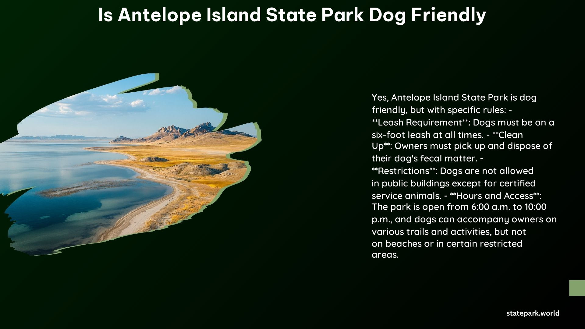 Is Antelope Island State Park Dog Friendly