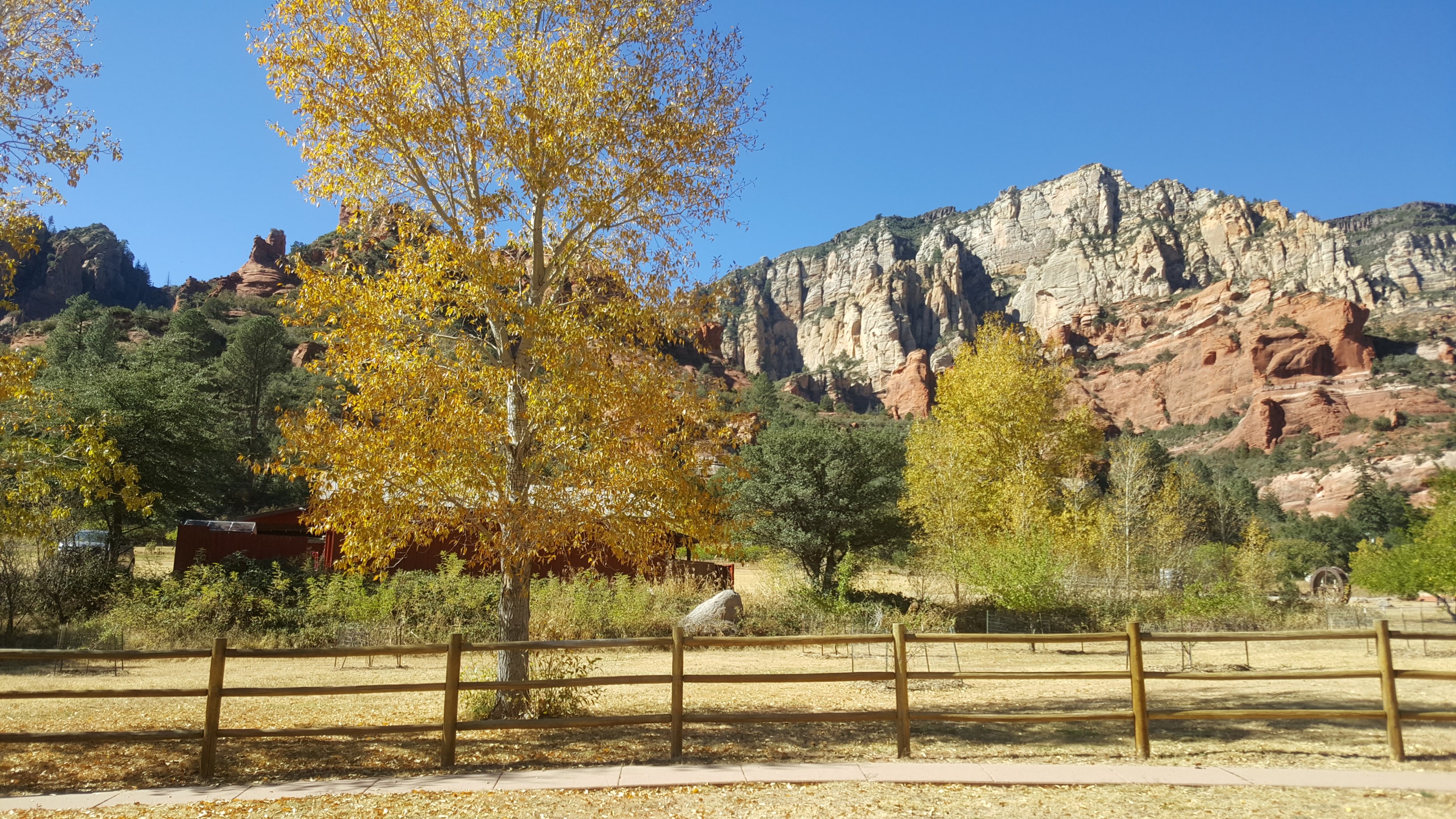 Are Dogs Allowed at Slide Rock State Park