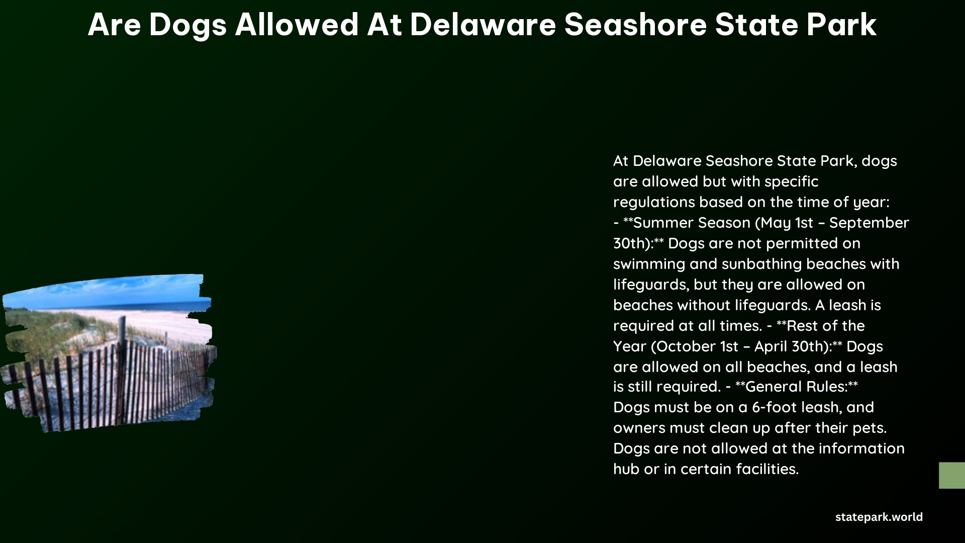 are dogs allowed at delaware seashore state park