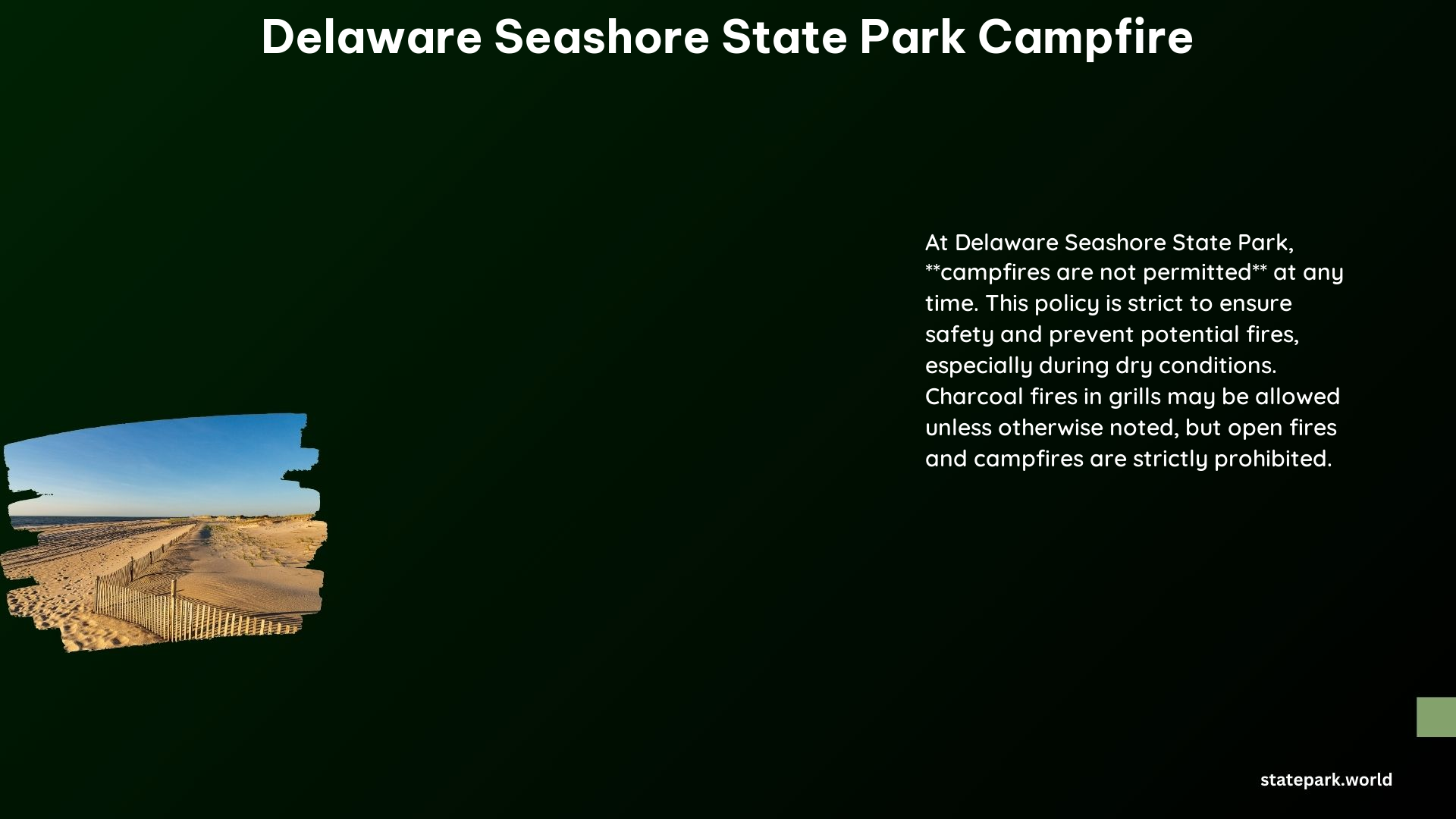 delaware seashore state park campfire