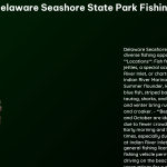 delaware seashore state park fishing