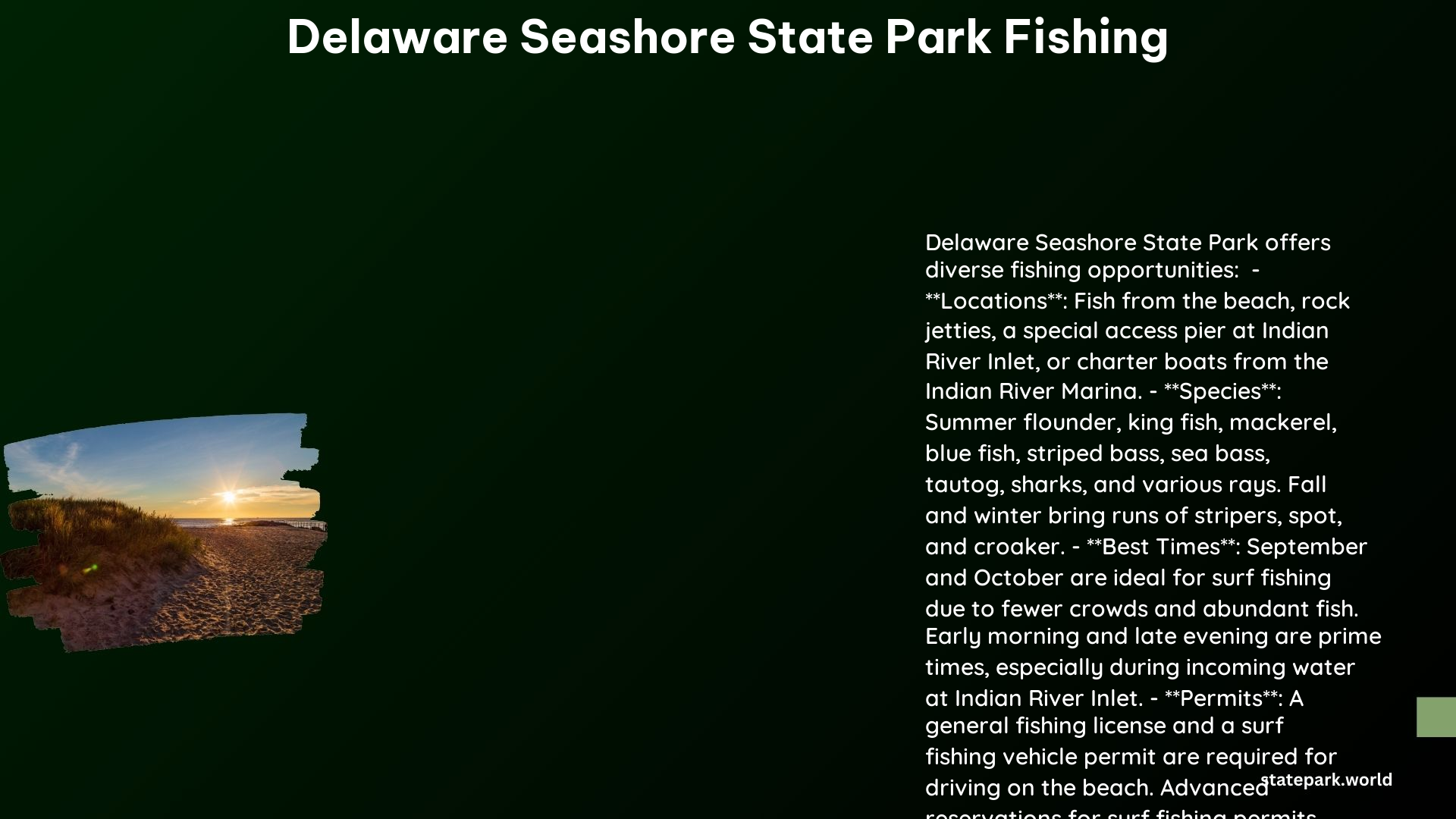 delaware seashore state park fishing