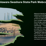 delaware seashore state park webcam