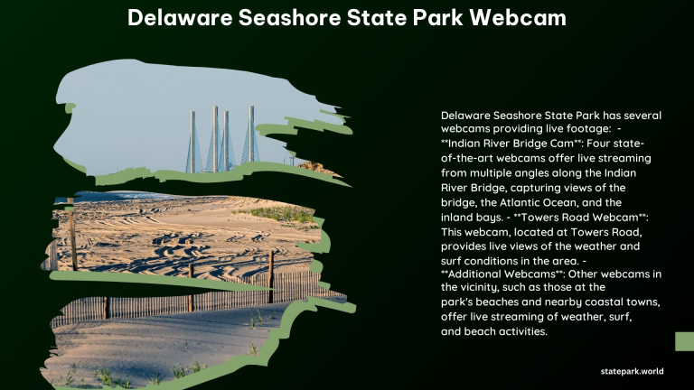 delaware seashore state park webcam