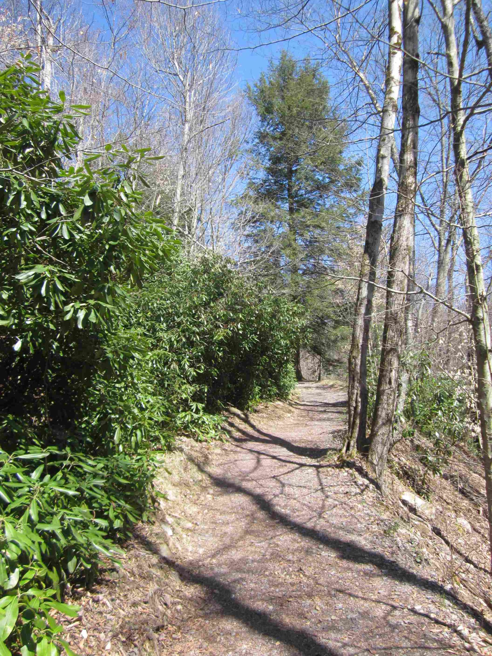 hickory run state park chapel