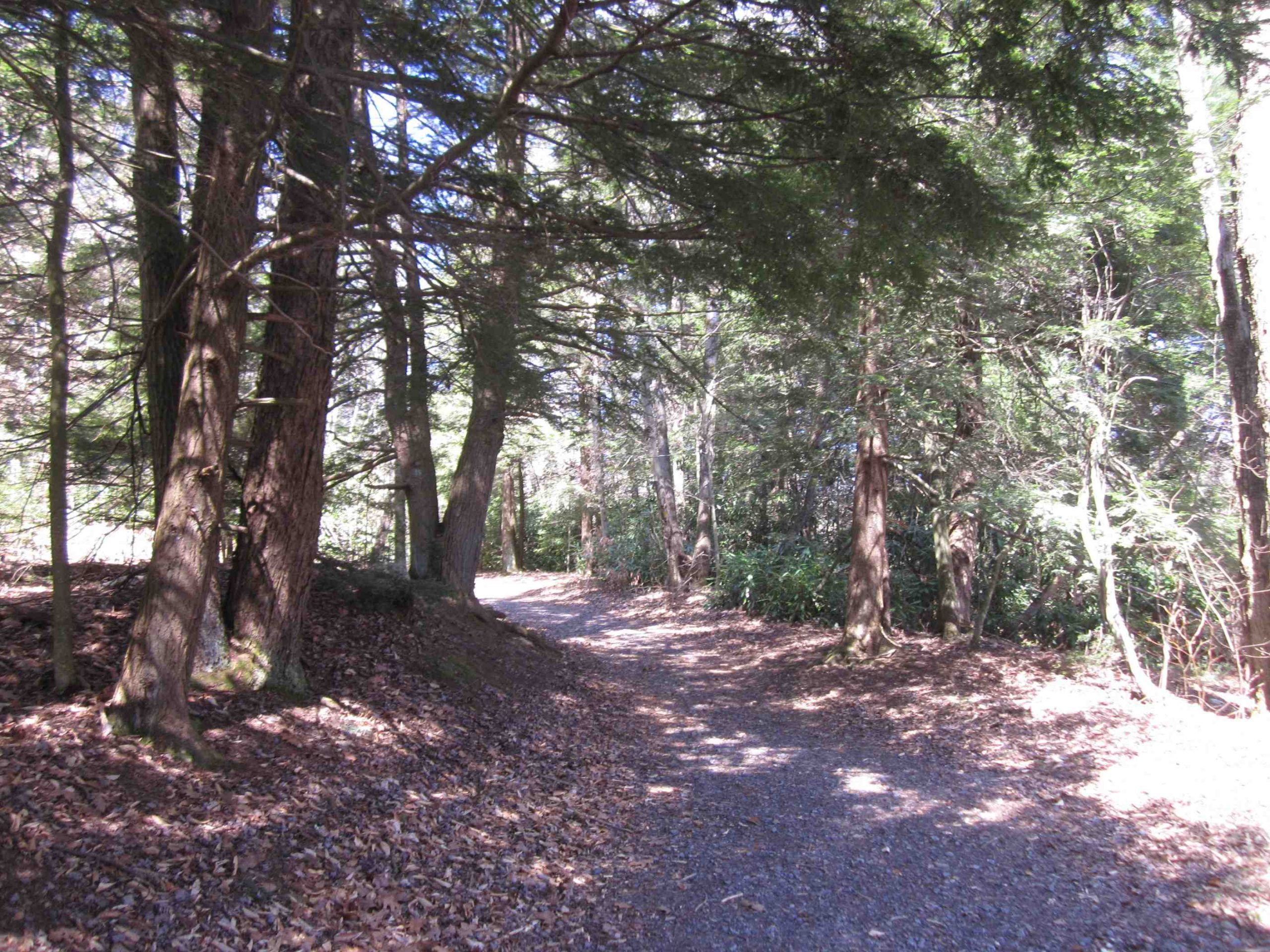 hickory run state park pavilion rental