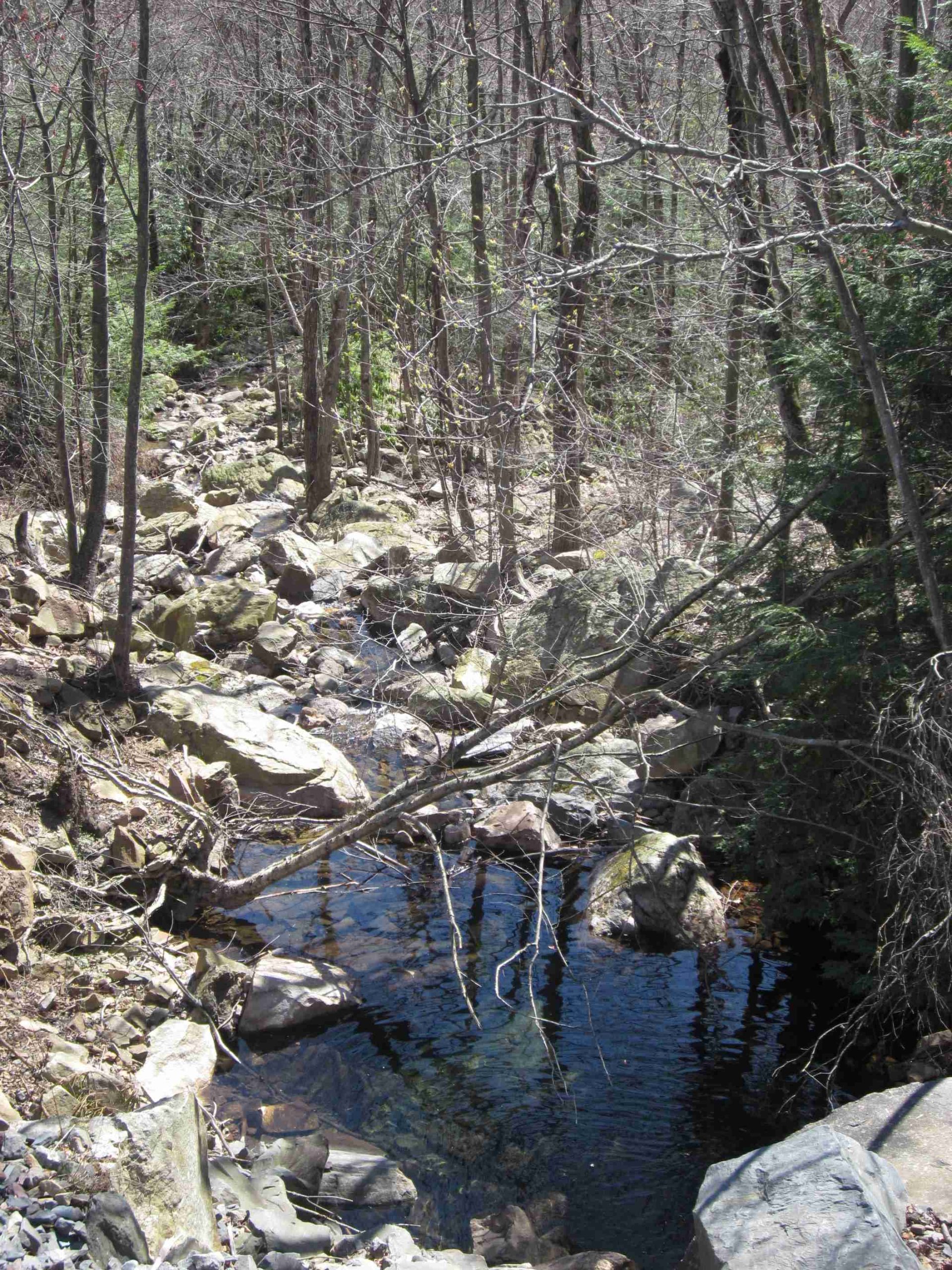 hickory run state park picnic area