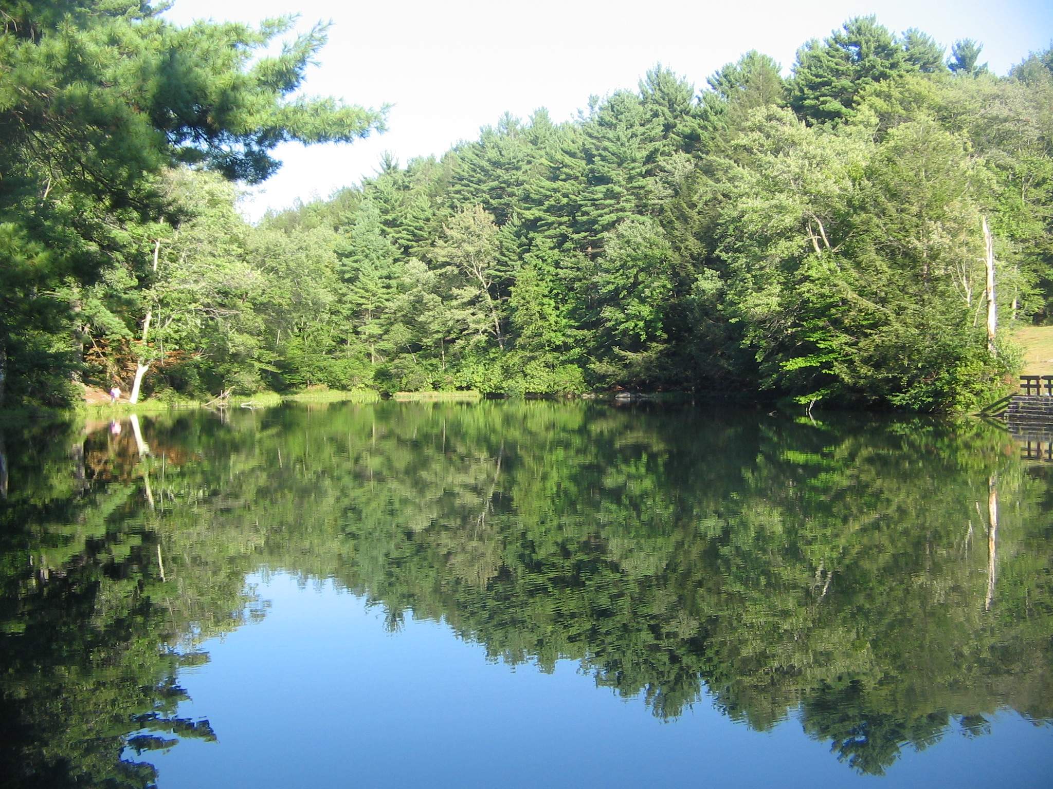 hickory run state park wedding