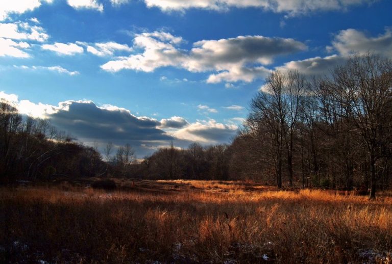 Hickory Run State Park 33